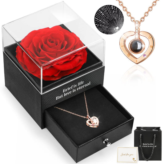 Eternal Rose with I Love You Necklace in 100 Languages