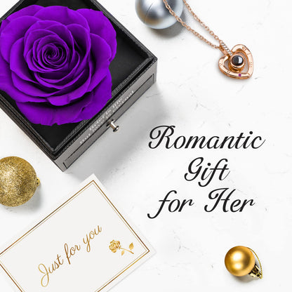 Eternal Rose with I Love You Necklace in 100 Languages