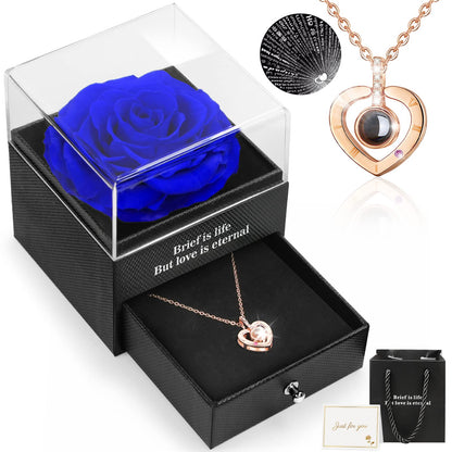 Eternal Rose with I Love You Necklace in 100 Languages