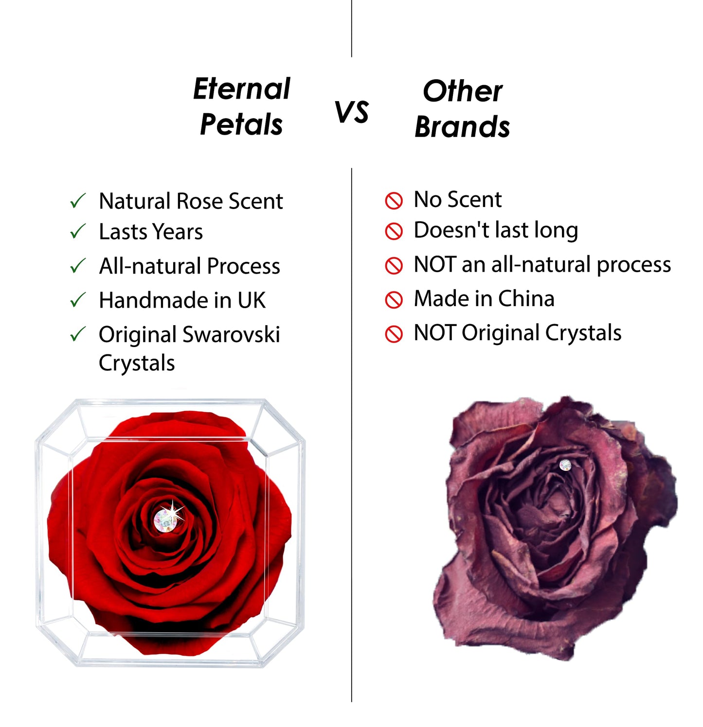 Eternal Petals A 100% Real Rose That Lasts Years