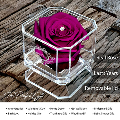 Eternal Petals A 100% Real Rose That Lasts Years