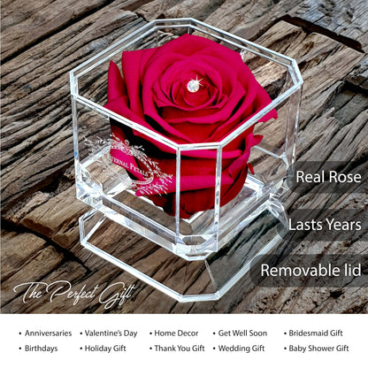 Eternal Petals A 100% Real Rose That Lasts Years