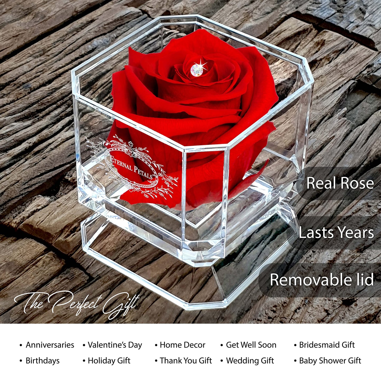 Eternal Petals A 100% Real Rose That Lasts Years