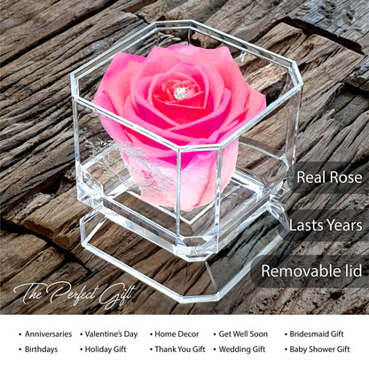 Eternal Petals A 100% Real Rose That Lasts Years