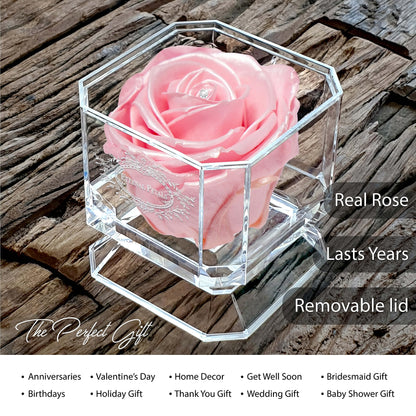 Eternal Petals A 100% Real Rose That Lasts Years