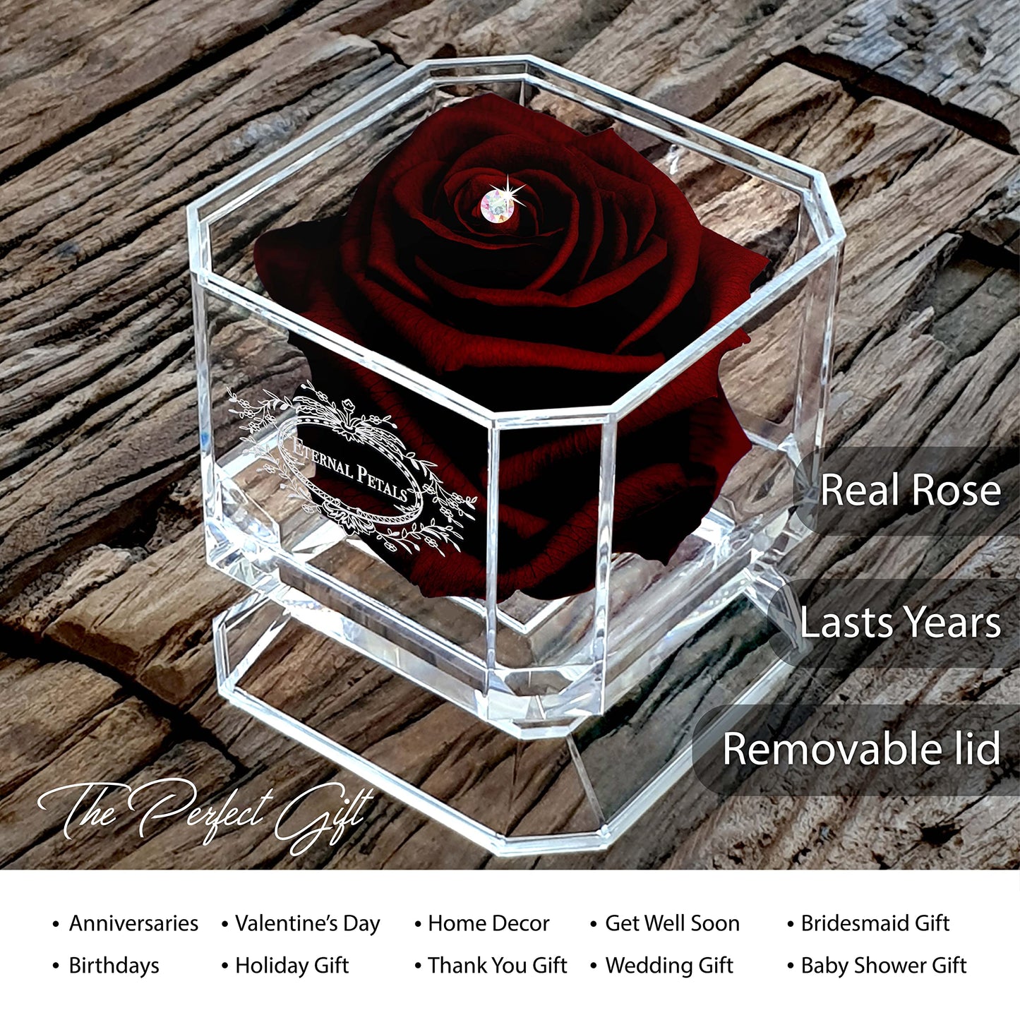 Eternal Petals A 100% Real Rose That Lasts Years