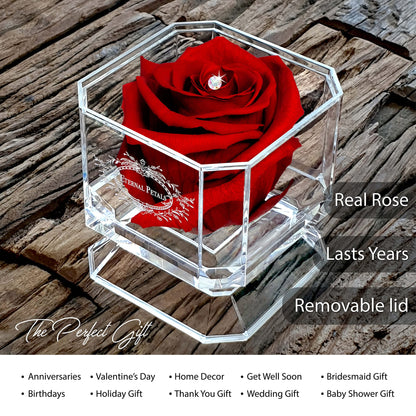 Eternal Petals A 100% Real Rose That Lasts Years