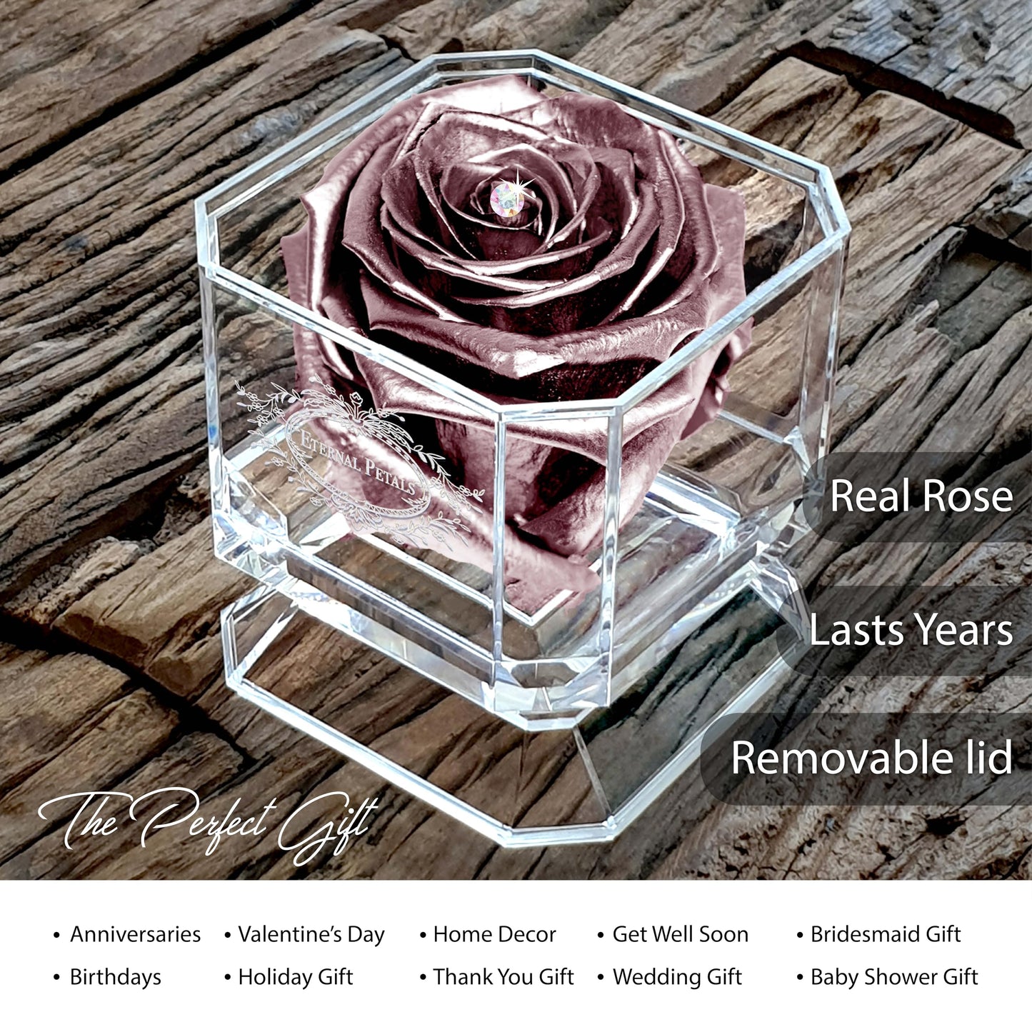 Eternal Petals A 100% Real Rose That Lasts Years