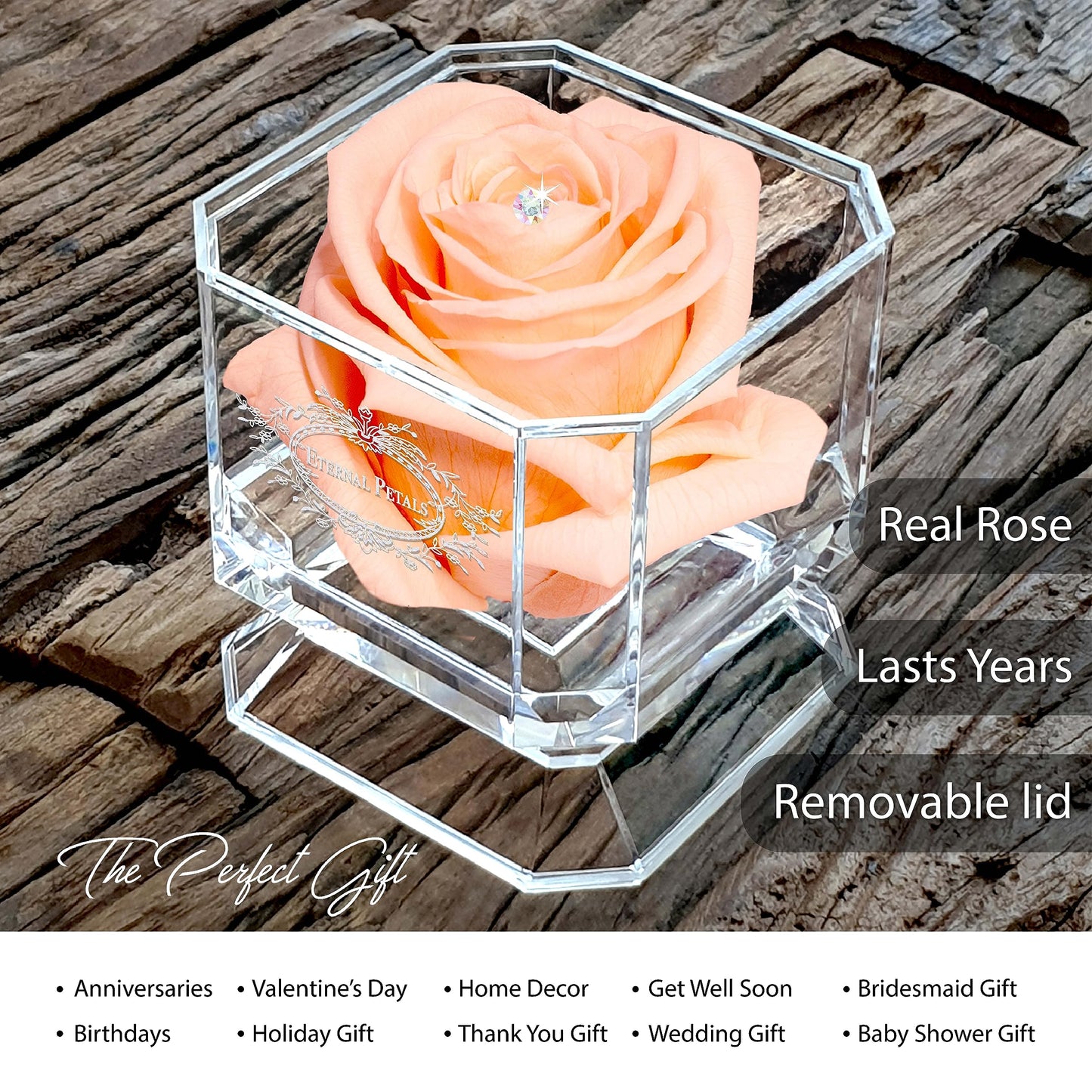 Eternal Petals A 100% Real Rose That Lasts Years