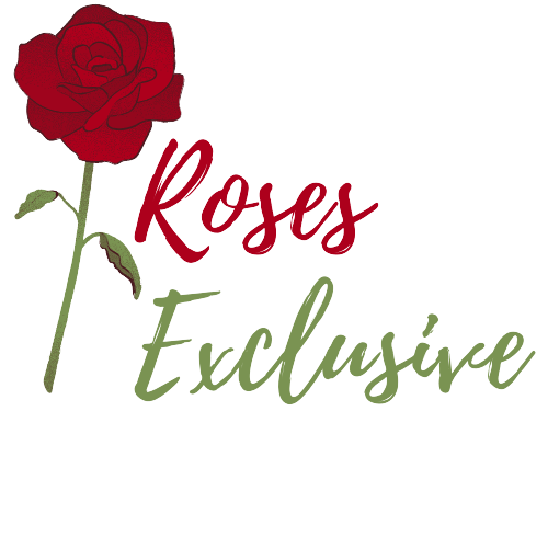 Roses Exclusive