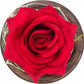 Forever Rose Flower with 20 LED Light