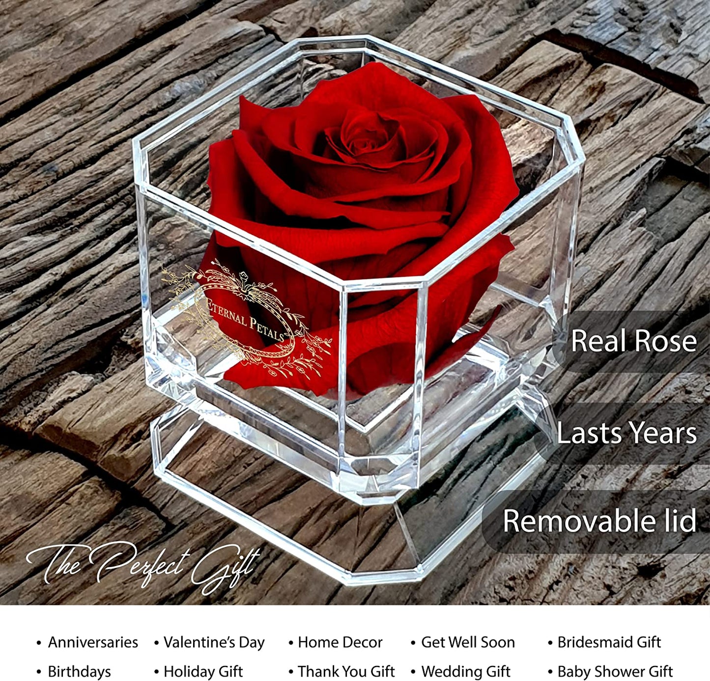 Eternal Petals Solo - A Real Rose That Lasts A Year